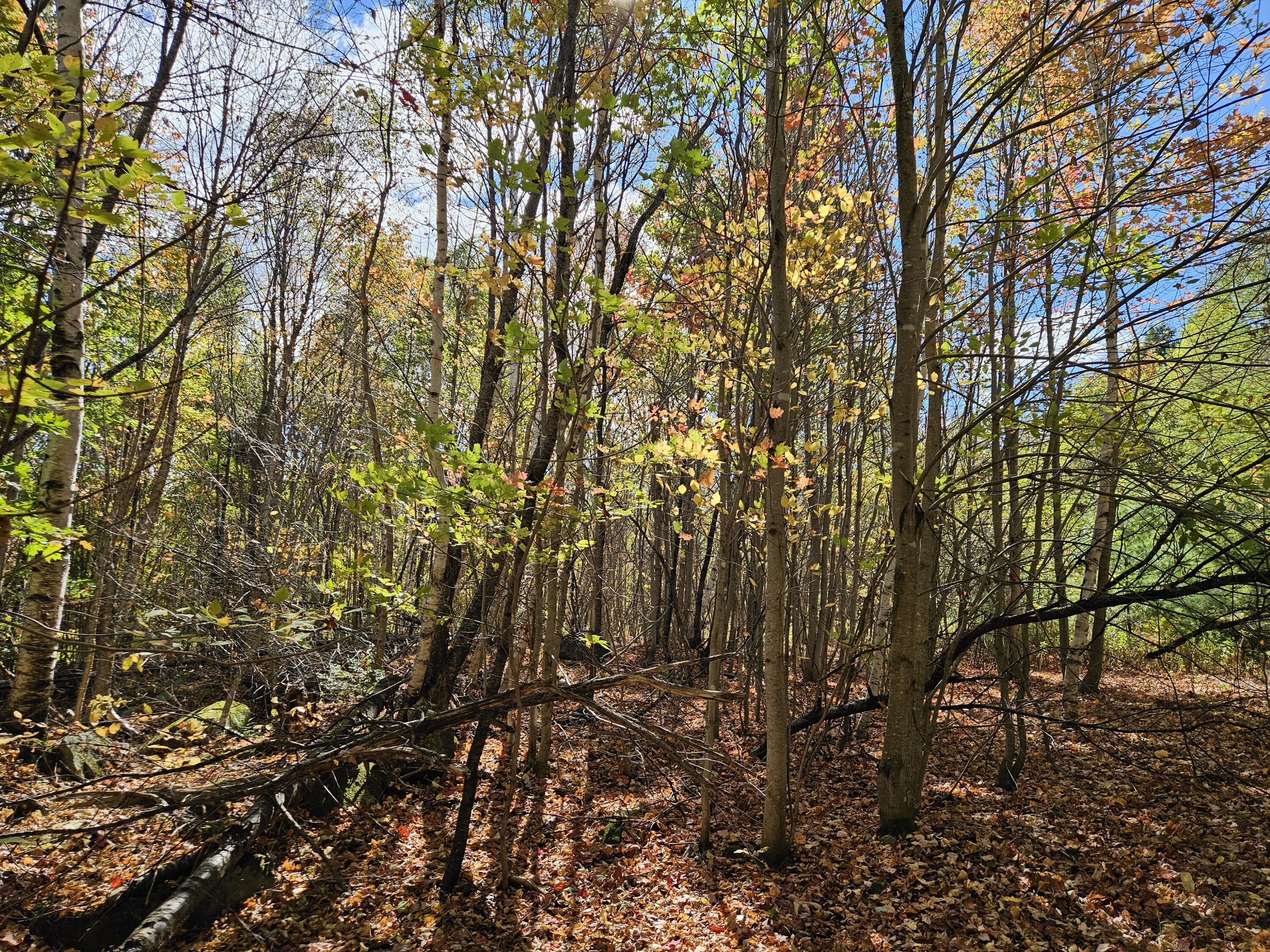 MR7 L31&37 Taylor Hill Road New Vineyard ME 04956