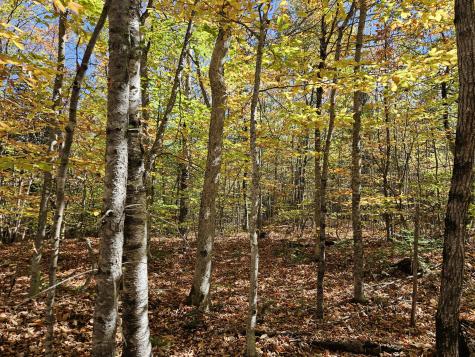 MR7 L31&37 Taylor Hill Road New Vineyard ME 04956