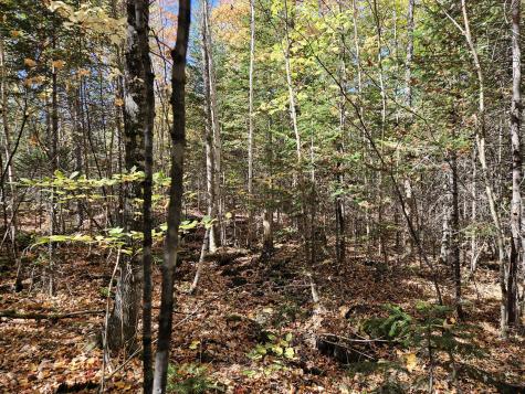 MR7 L31&37 Taylor Hill Road New Vineyard ME 04956