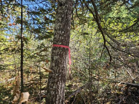 MR7 L31&37 Taylor Hill Road New Vineyard ME 04956