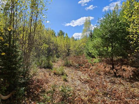 MR7 L31&37 Taylor Hill Road New Vineyard ME 04956