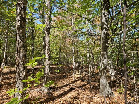 MR7 L31&37 Taylor Hill Road New Vineyard ME 04956