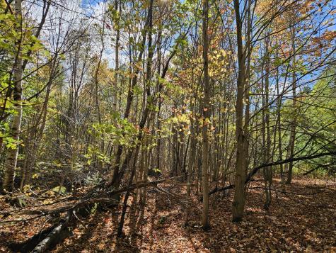 MR7 L31&37 Taylor Hill Road New Vineyard ME 04956