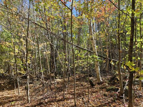 MR7 L31&37 Taylor Hill Road New Vineyard ME 04956