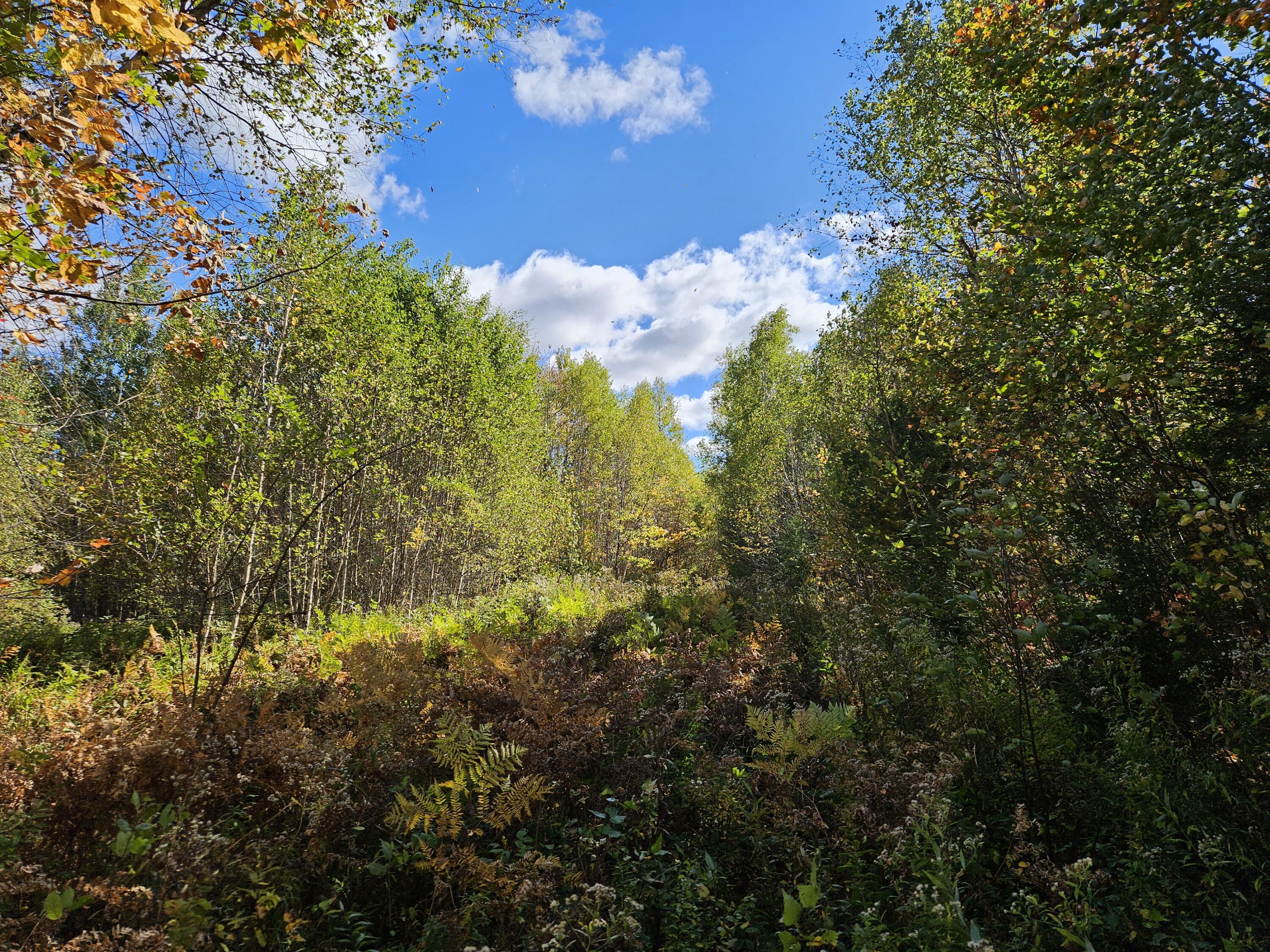 MR7 L31&37 Taylor Hill Road New Vineyard ME 04956