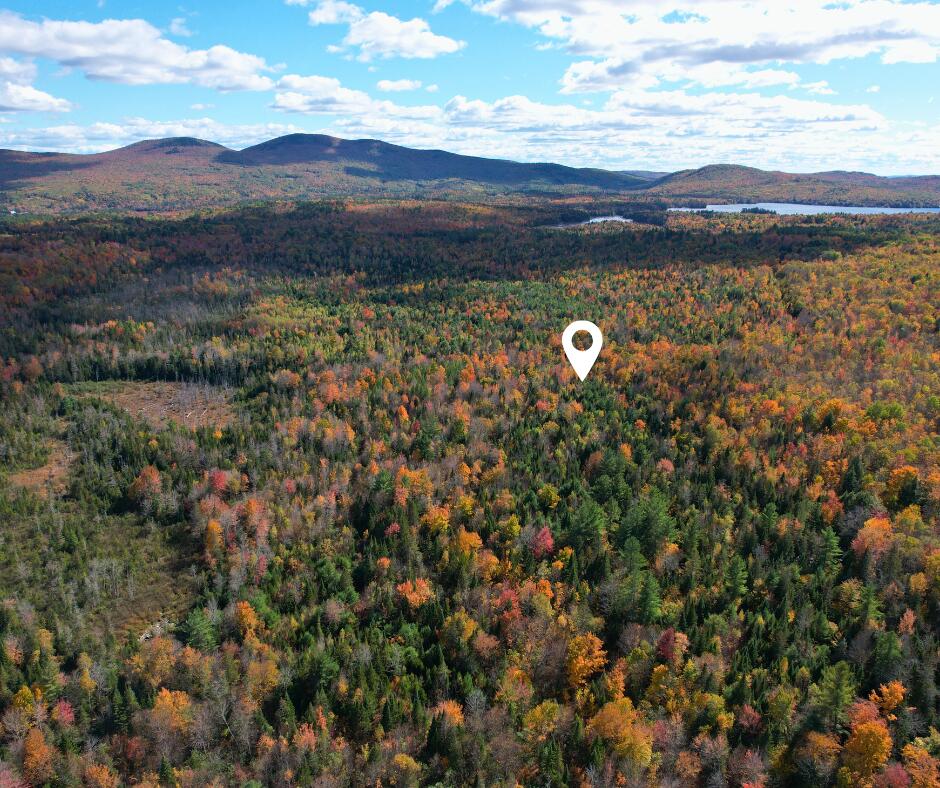 MR7 L31&37 Taylor Hill Road New Vineyard ME 04956