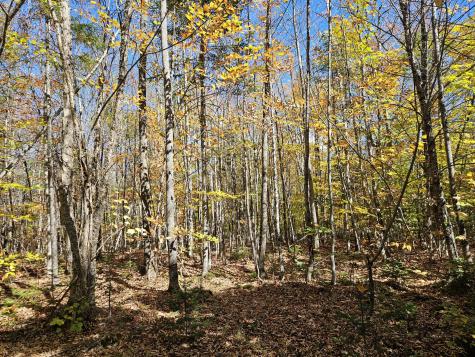 MR7 L31&37 Taylor Hill Road New Vineyard ME 04956