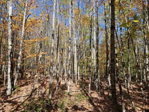 MR7 L31&37 Taylor Hill Road New Vineyard ME 04956