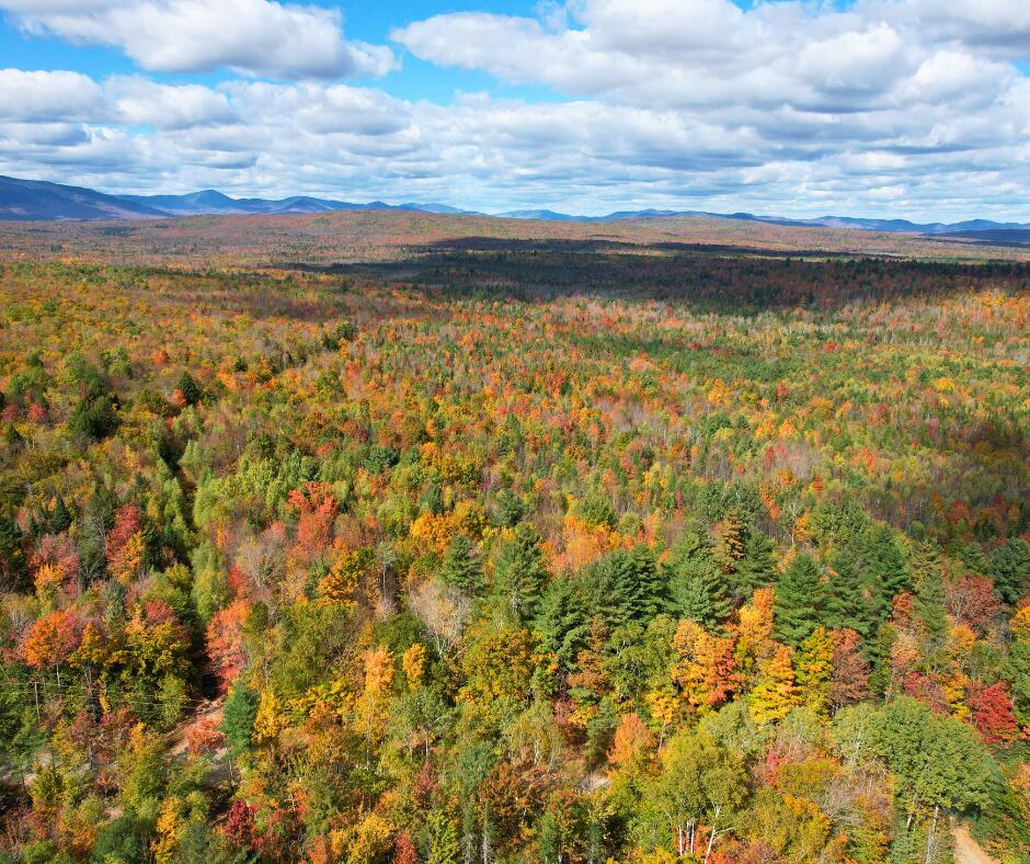 MR7 L31&37 Taylor Hill Road New Vineyard ME 04956