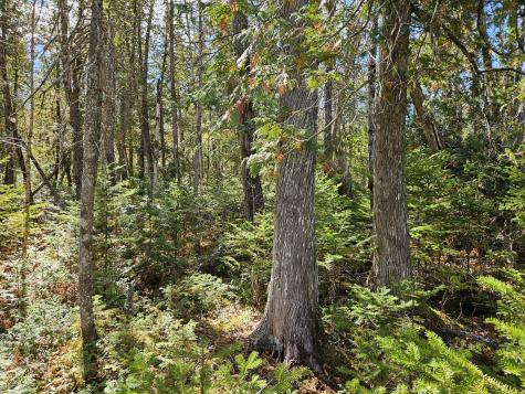 MR7 L31&37 Taylor Hill Road New Vineyard ME 04956