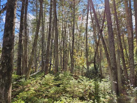 MR7 L31&37 Taylor Hill Road New Vineyard ME 04956