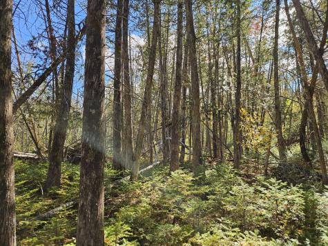 MR7 L31&37 Taylor Hill Road New Vineyard ME 04956