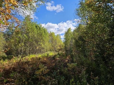 MR7 L31&37 Taylor Hill Road New Vineyard ME 04956