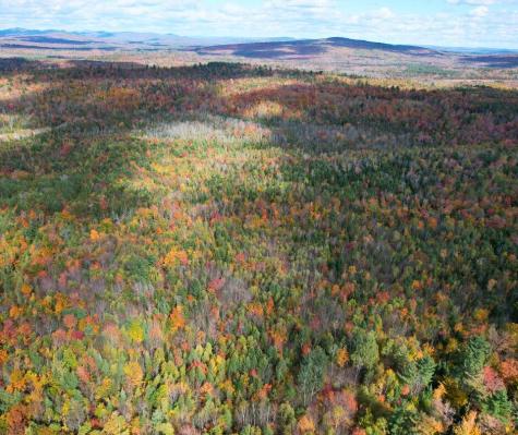 MR7 L31&37 Taylor Hill Road New Vineyard ME 04956