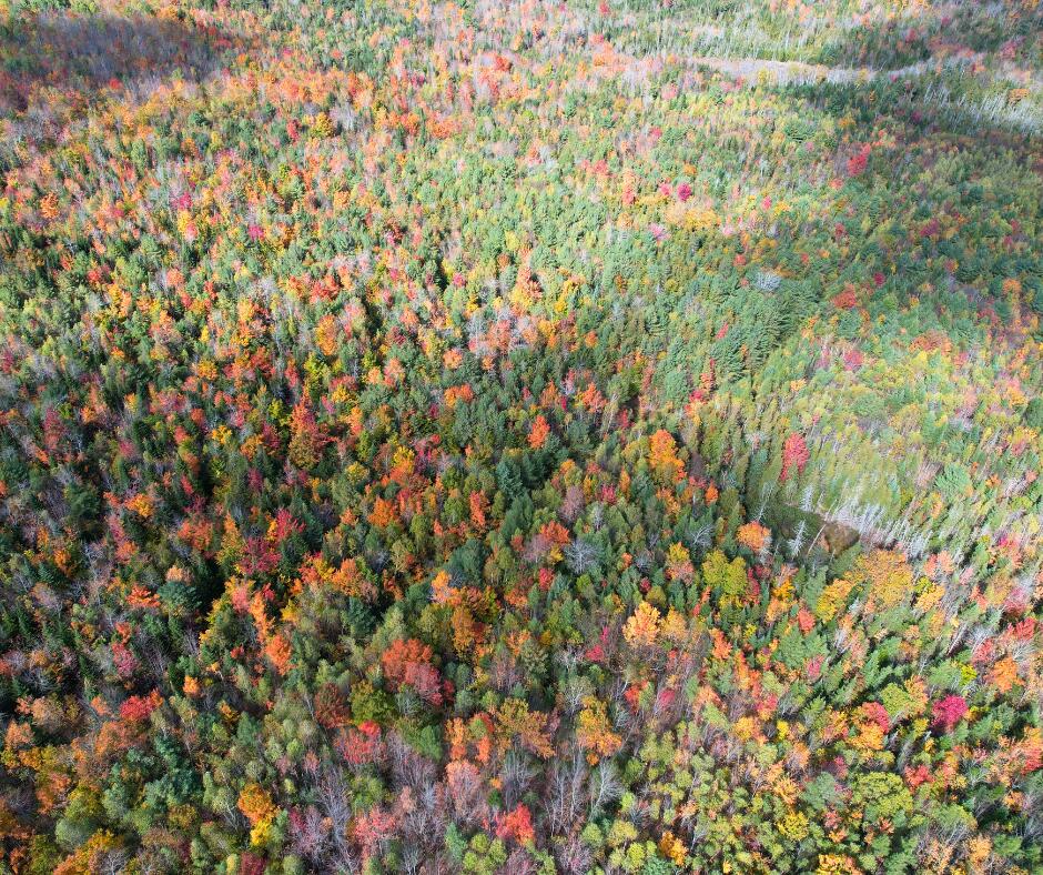 MR7 L31&37 Taylor Hill Road New Vineyard ME 04956