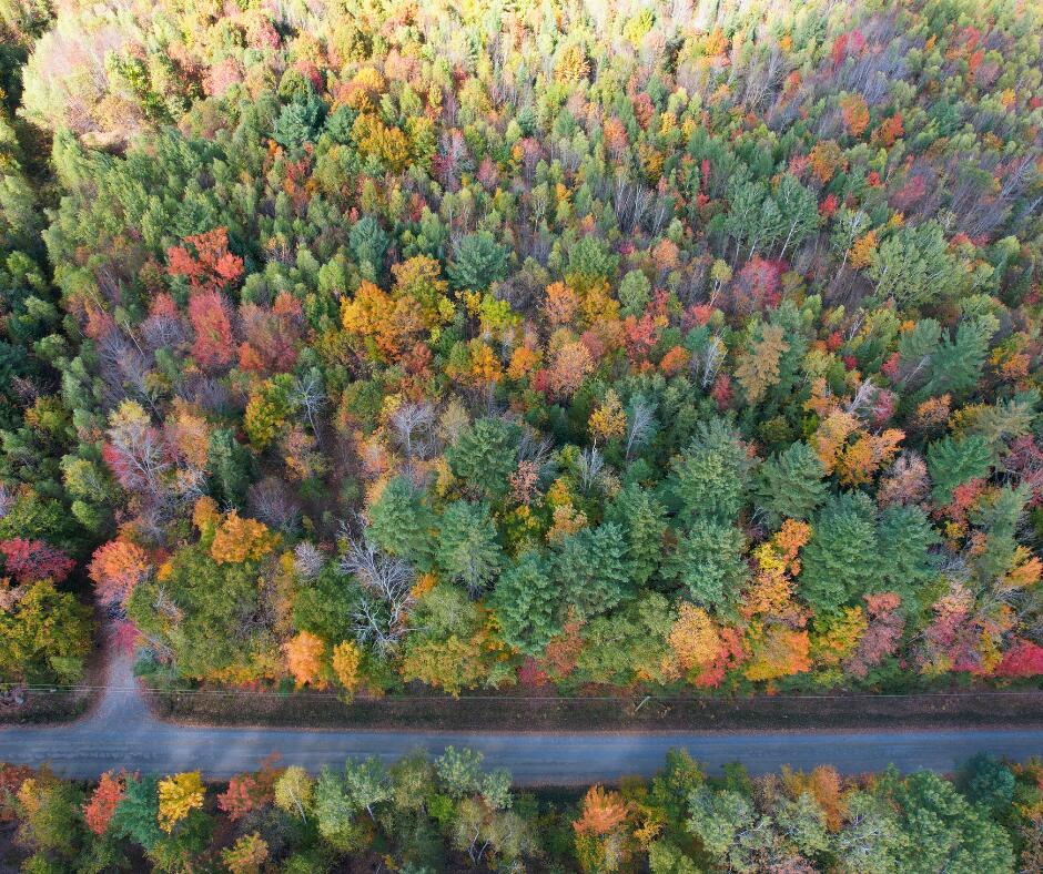 MR7 L31&37 Taylor Hill Road New Vineyard ME 04956