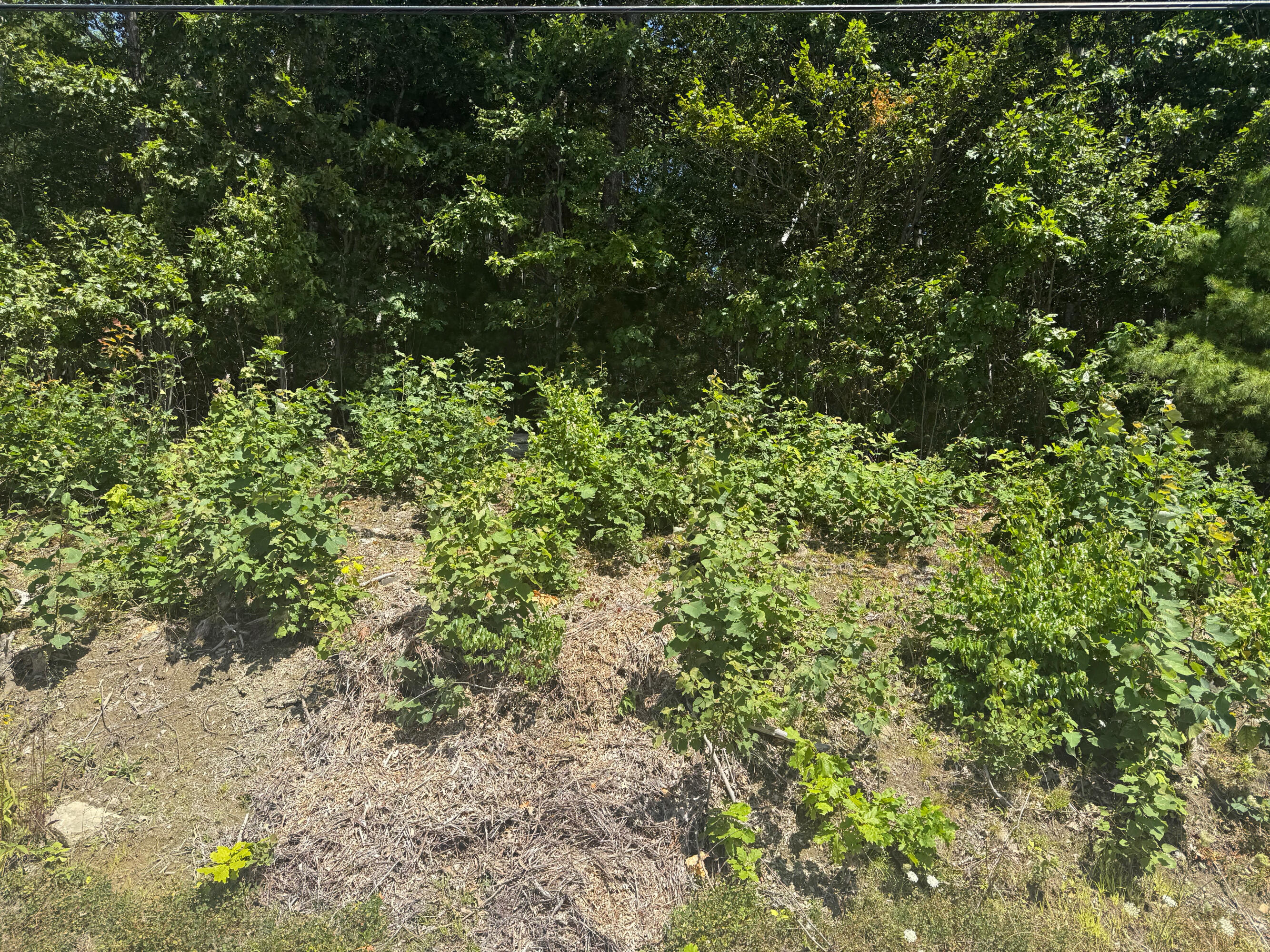 0 Robbins Road Belfast ME 04915