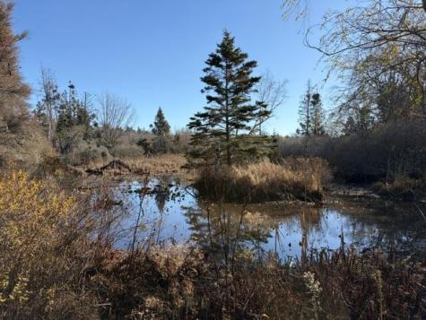 Lot 12-004 Coombs Neck Road Vinalhaven ME 04863