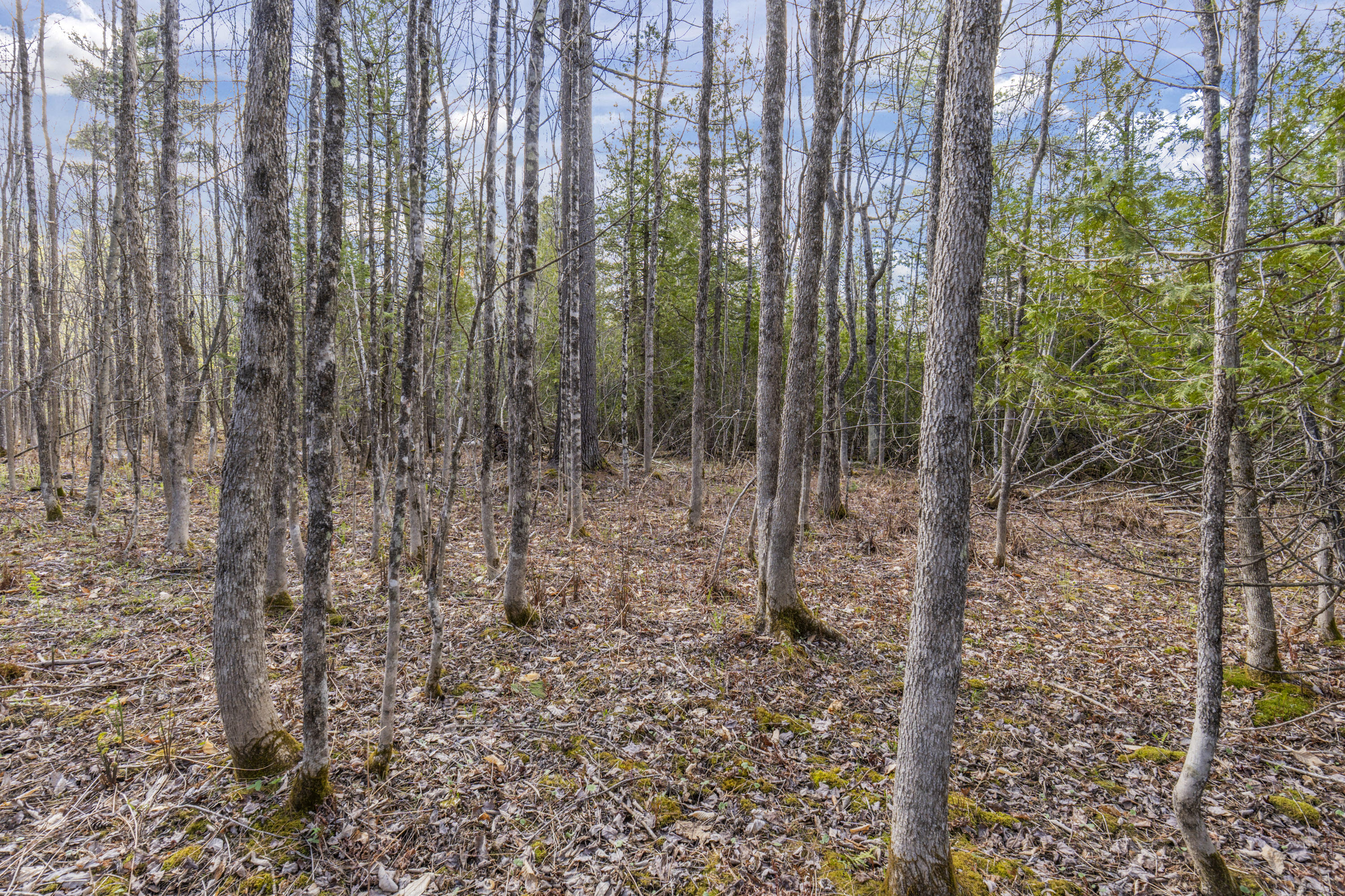 Lot 45-2 Pinewoods Trail Oakland ME 04963