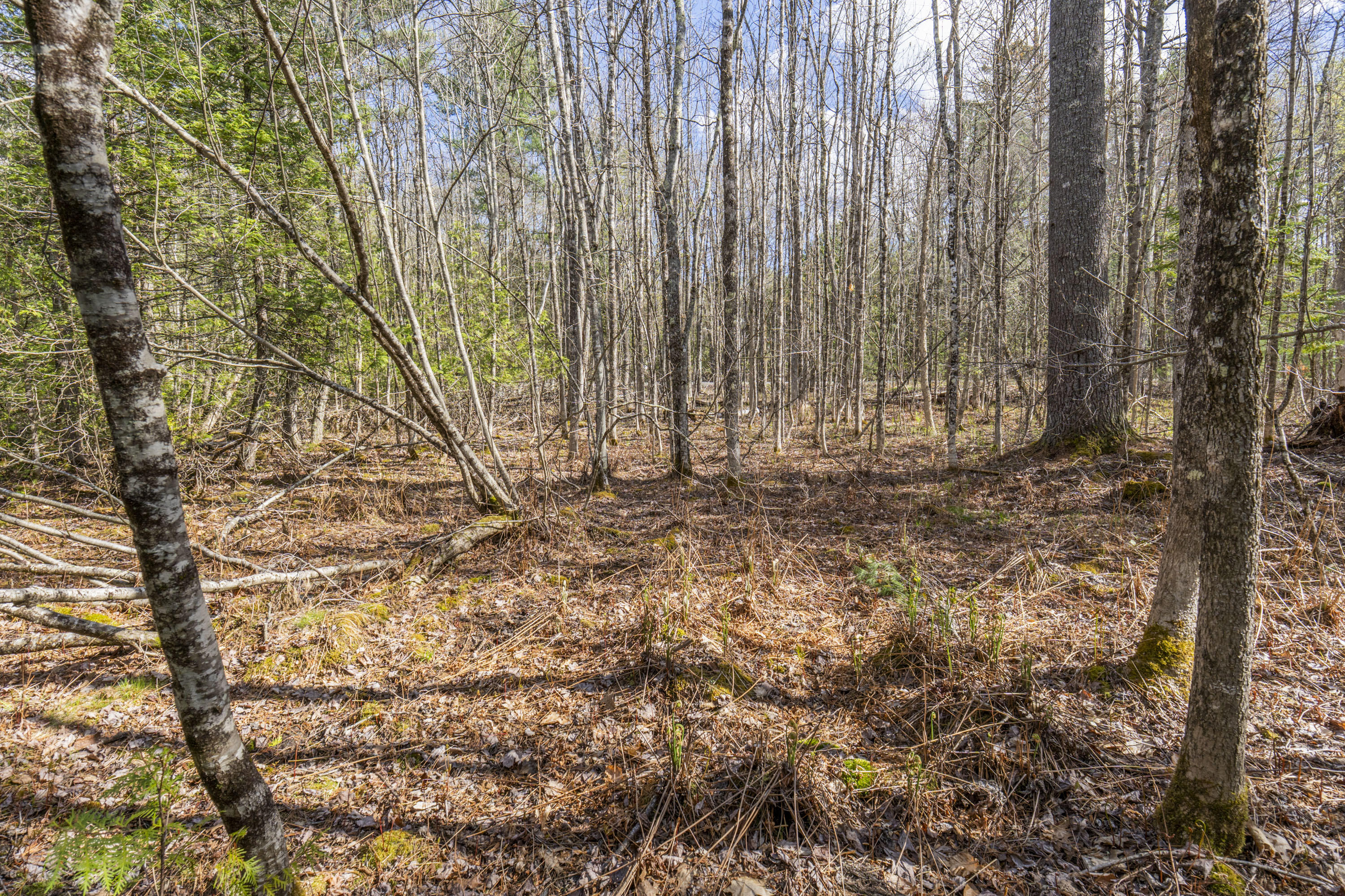 Lot 45-2 Pinewoods Trail Oakland ME 04963