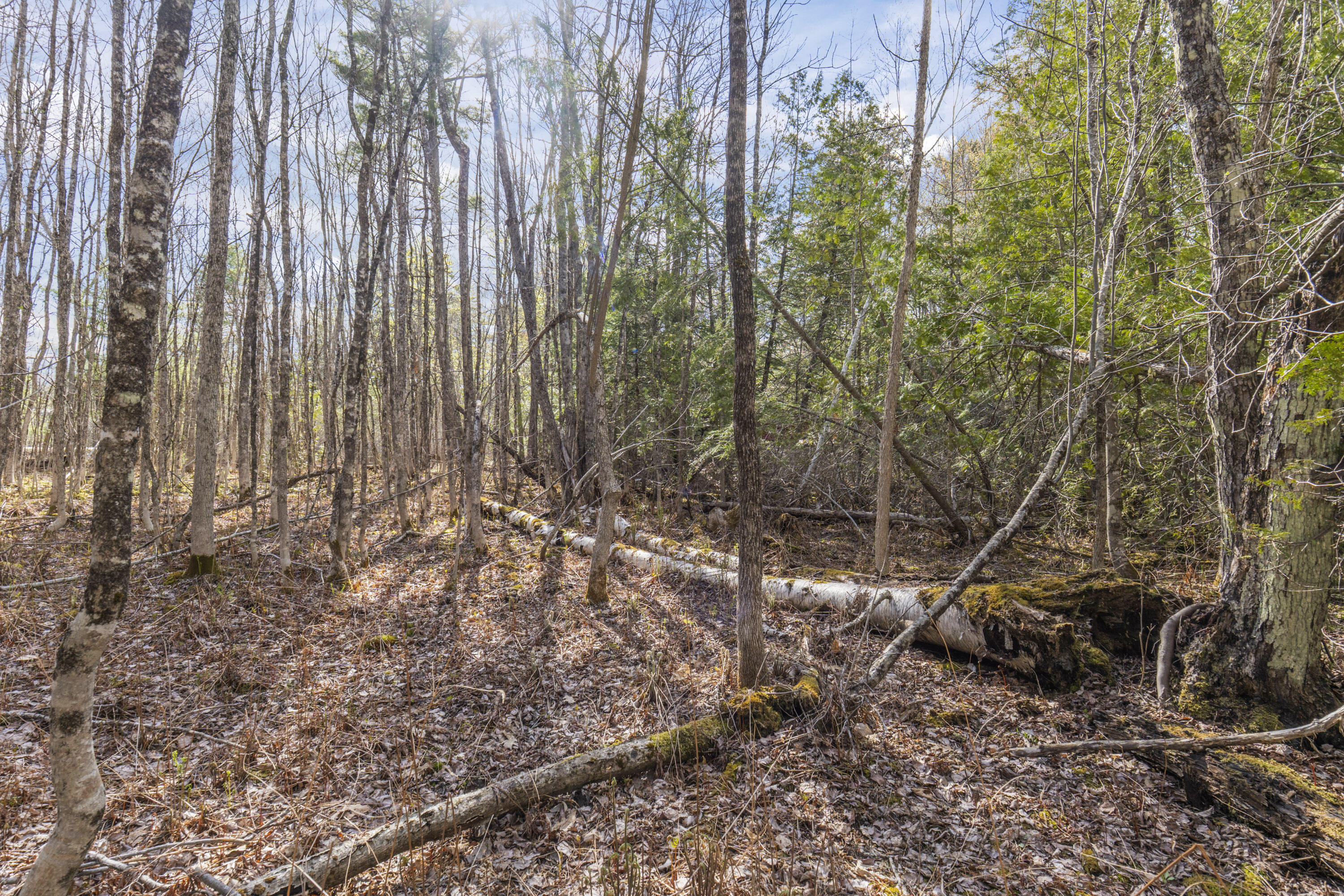 Lot 45-2 Pinewoods Trail Oakland ME 04963