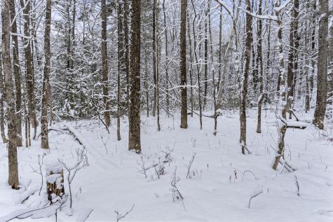Lot 45-2 Pinewoods Trail Oakland ME 04963