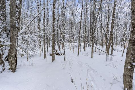 Lot 45-2 Pinewoods Trail Oakland ME 04963