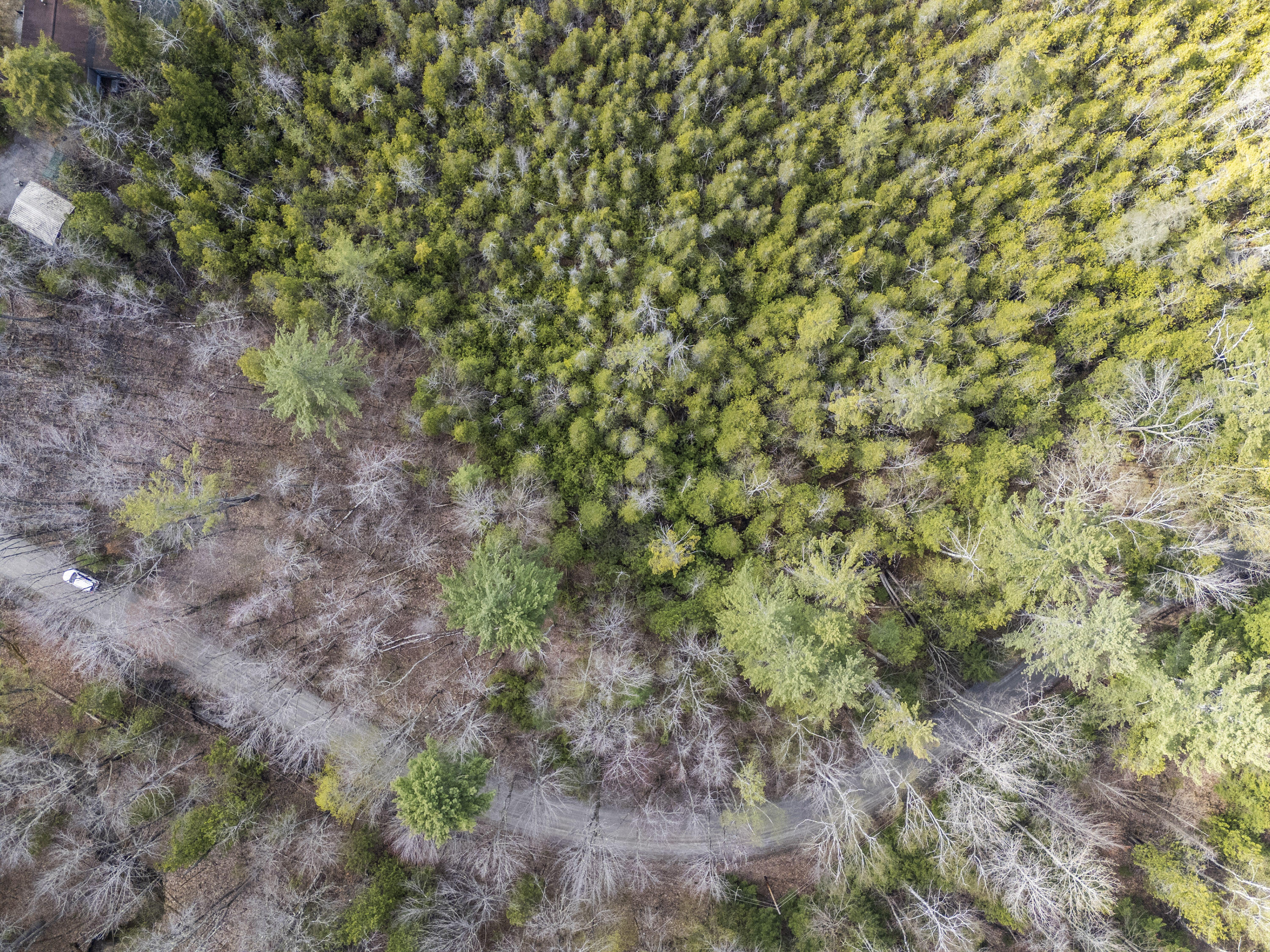 Lot 45-2 Pinewoods Trail Oakland ME 04963