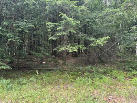 Mp46lt2017 Island Road Limerick ME 04061