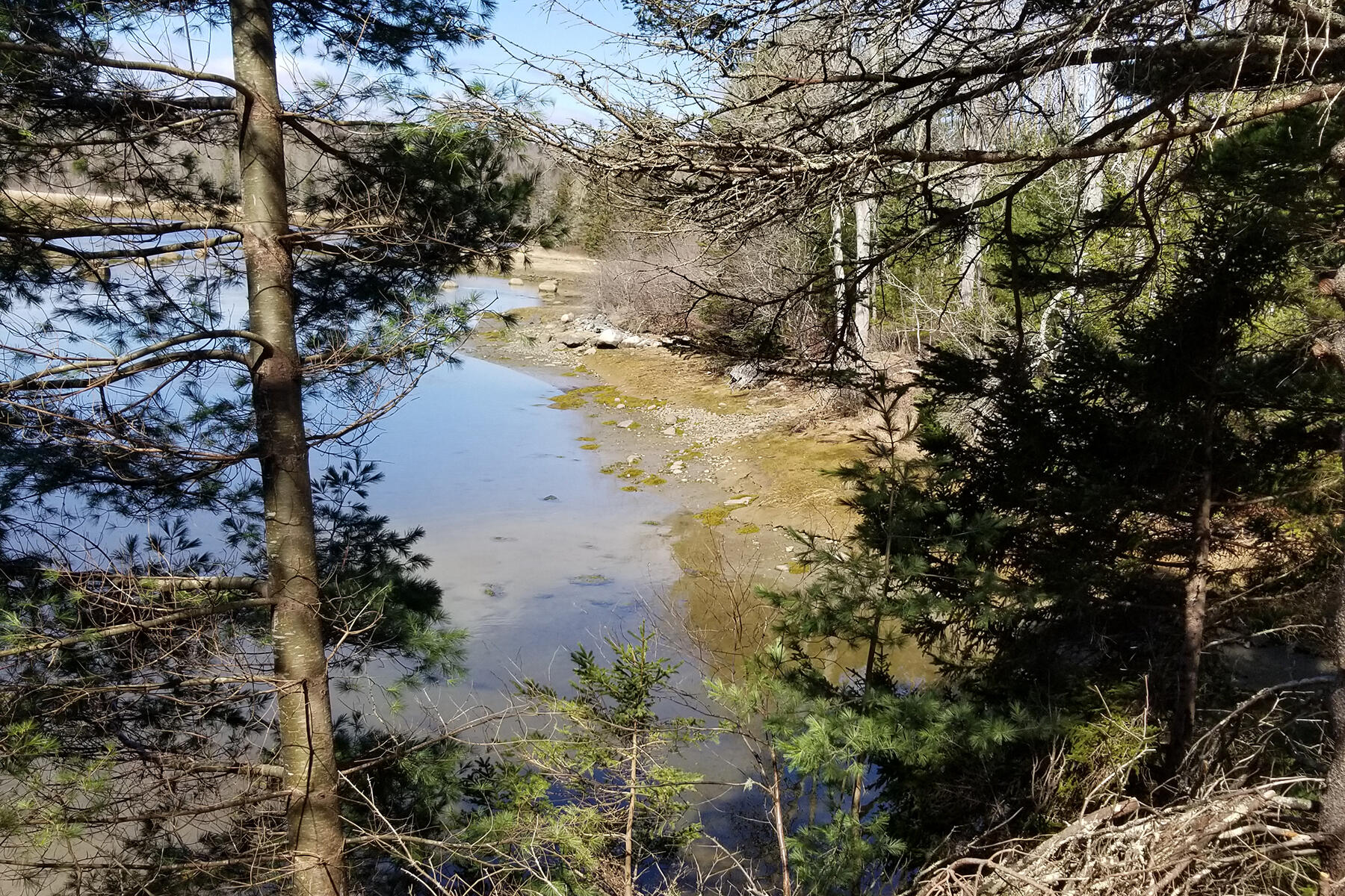 9 River Road Brooklin ME 04616