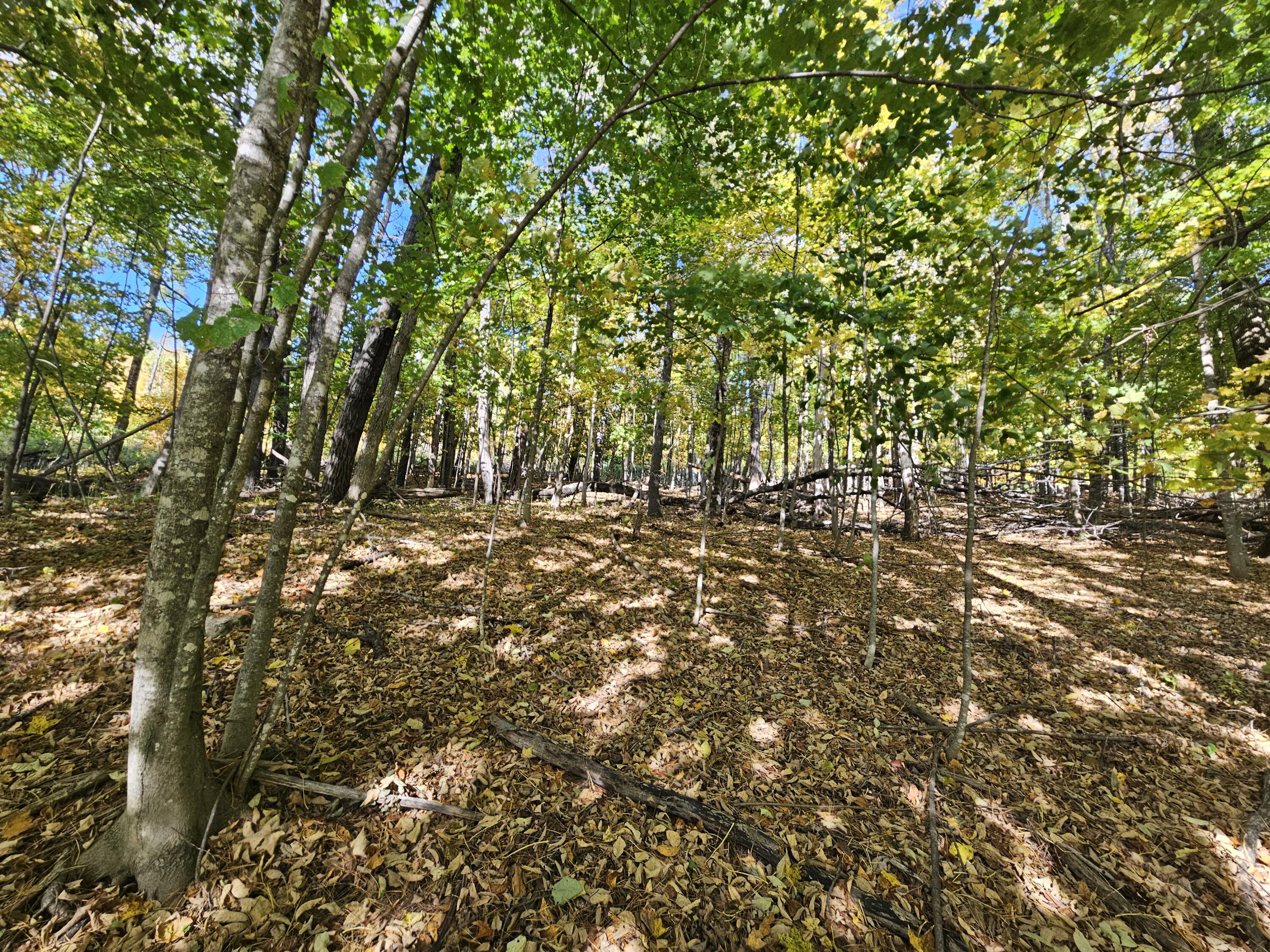R-5 13-a Norton Hill Road Strong ME 04983