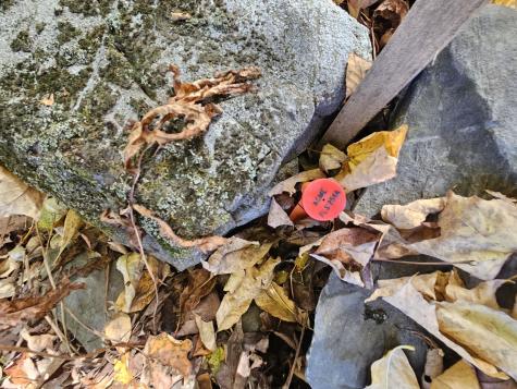 R-5 13-a Norton Hill Road Strong ME 04983