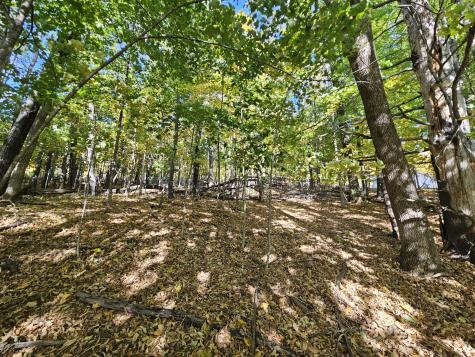 R-5 13-a Norton Hill Road Strong ME 04983