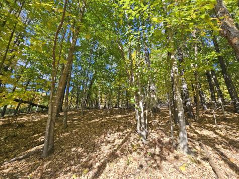 R-5 13-a Norton Hill Road Strong ME 04983