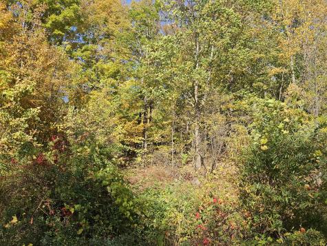 R-5 13-a Norton Hill Road Strong ME 04983