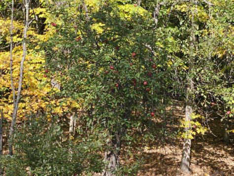 R-5 13-a Norton Hill Road Strong ME 04983