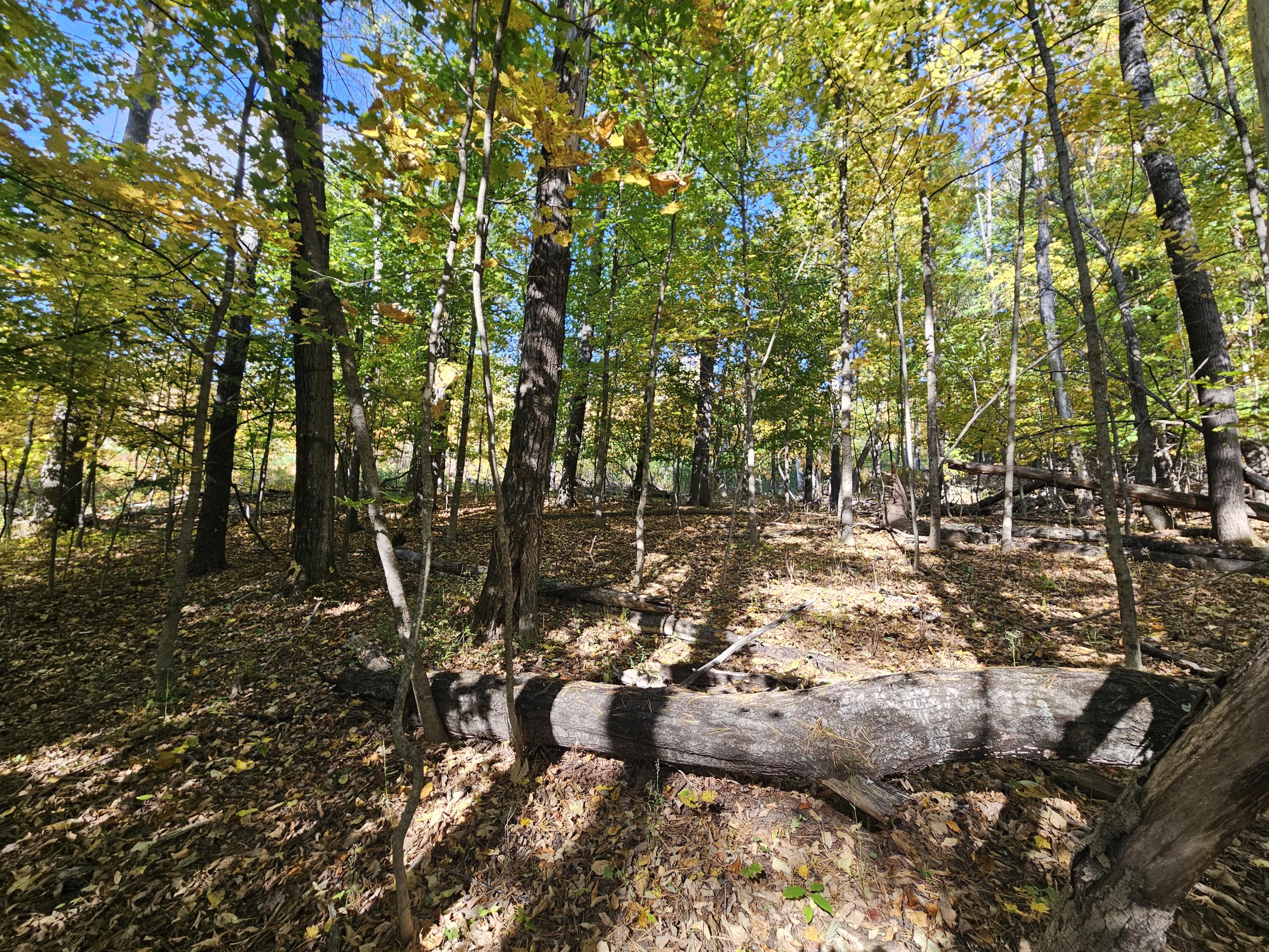 R-5 13-a Norton Hill Road Strong ME 04983
