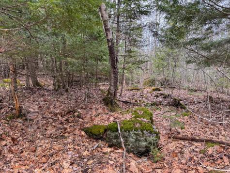 M11l41 Clements Road Monroe ME 04951