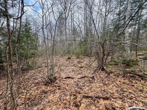 M11l41 Clements Road Monroe ME 04951