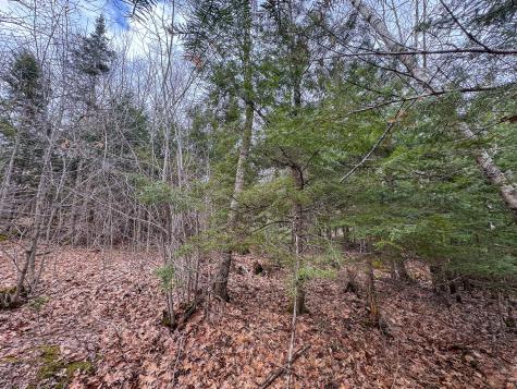 M11l41 Clements Road Monroe ME 04951