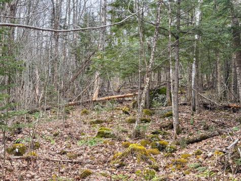 M11l41 Clements Road Monroe ME 04951