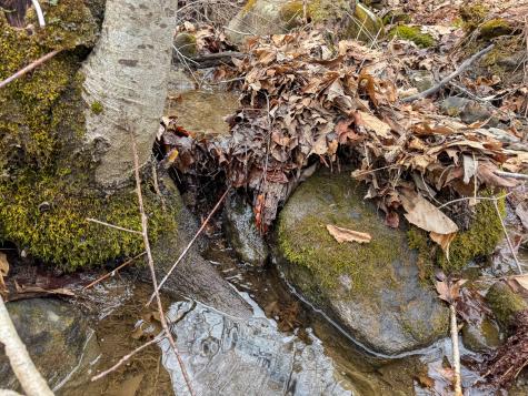 M11l41 Clements Road Monroe ME 04951