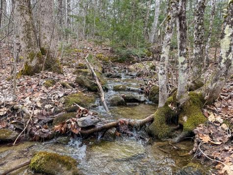 M11l41 Clements Road Monroe ME 04951