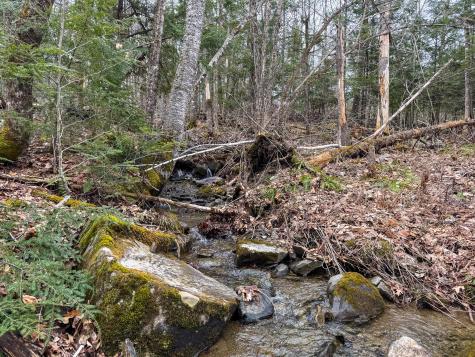 M11l41 Clements Road Monroe ME 04951