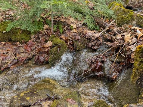 M11l41 Clements Road Monroe ME 04951