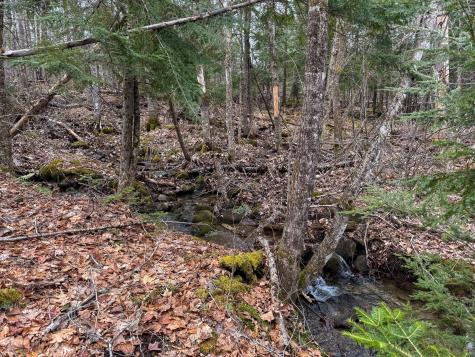 M11l41 Clements Road Monroe ME 04951