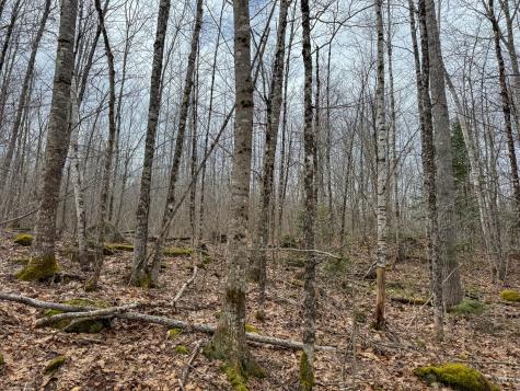 M11l41 Clements Road Monroe ME 04951