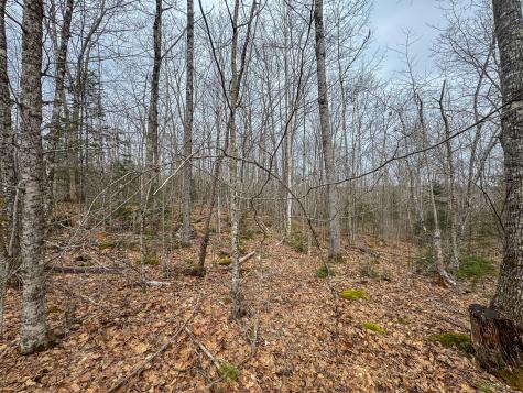 M11l41 Clements Road Monroe ME 04951