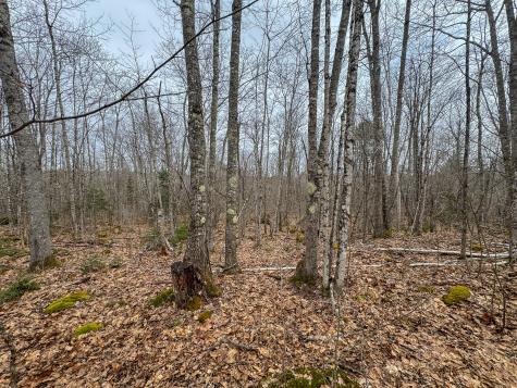 M11l41 Clements Road Monroe ME 04951