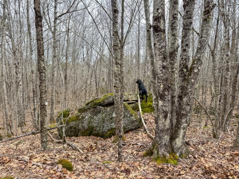 M11l41 Clements Road Monroe ME 04951